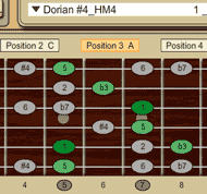 Dm HM4 Scale Fretboard View